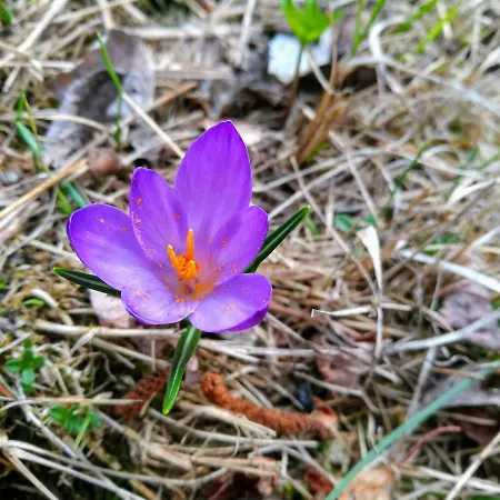 Nyaraló Casa Il Glicine